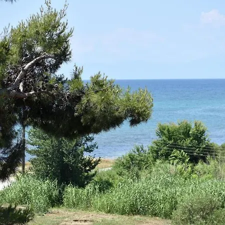 Apartamento Porto Luxury *